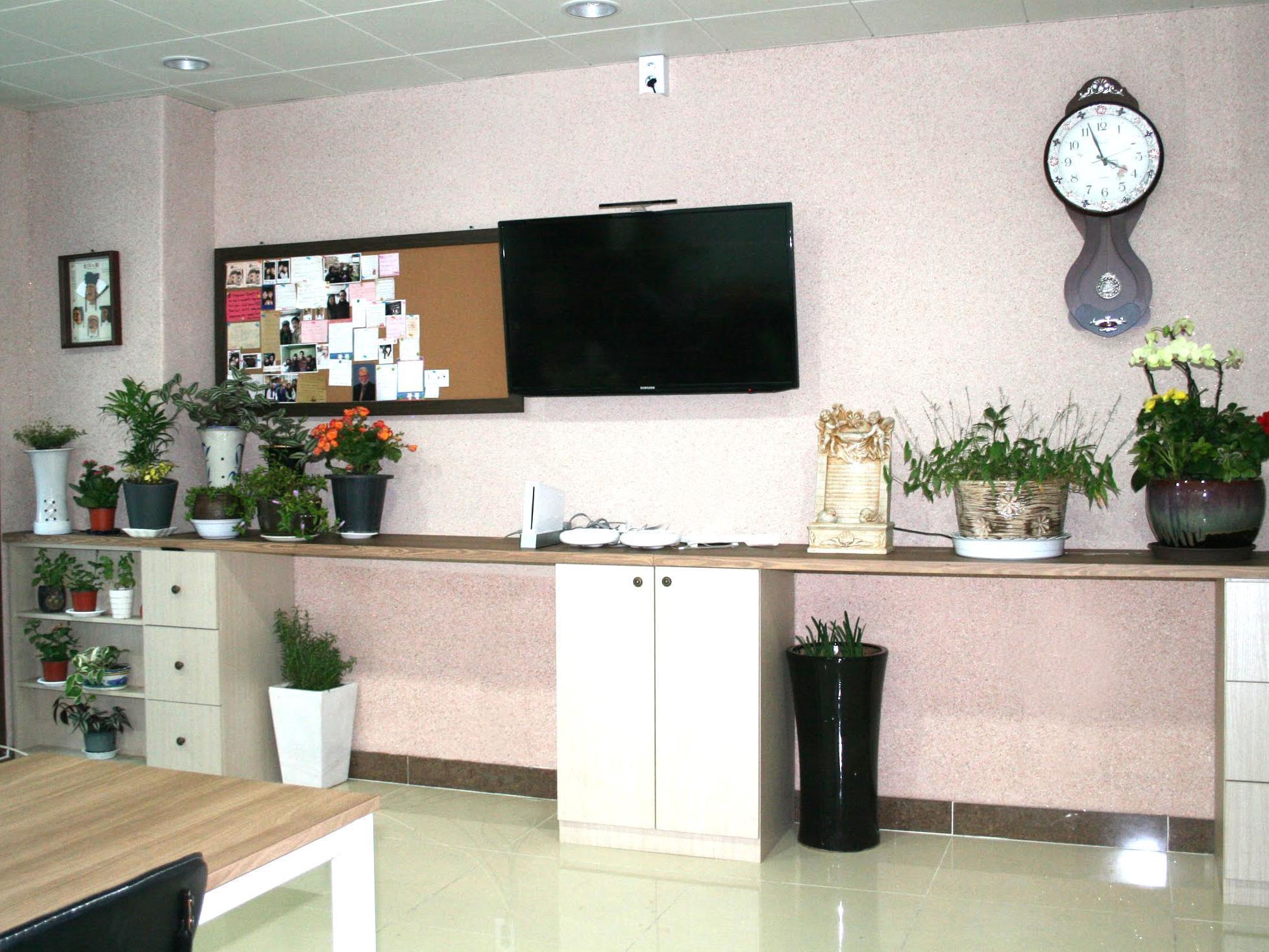 Petercat Hotel Insadong Σεούλ Εξωτερικό φωτογραφία